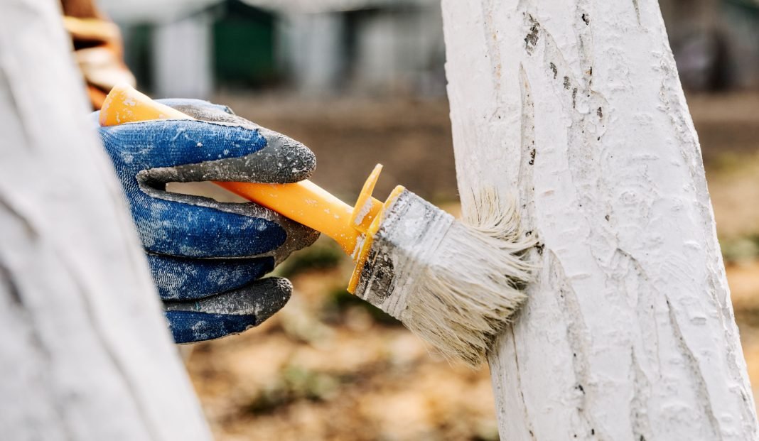 Kamieno balinimas pavasari