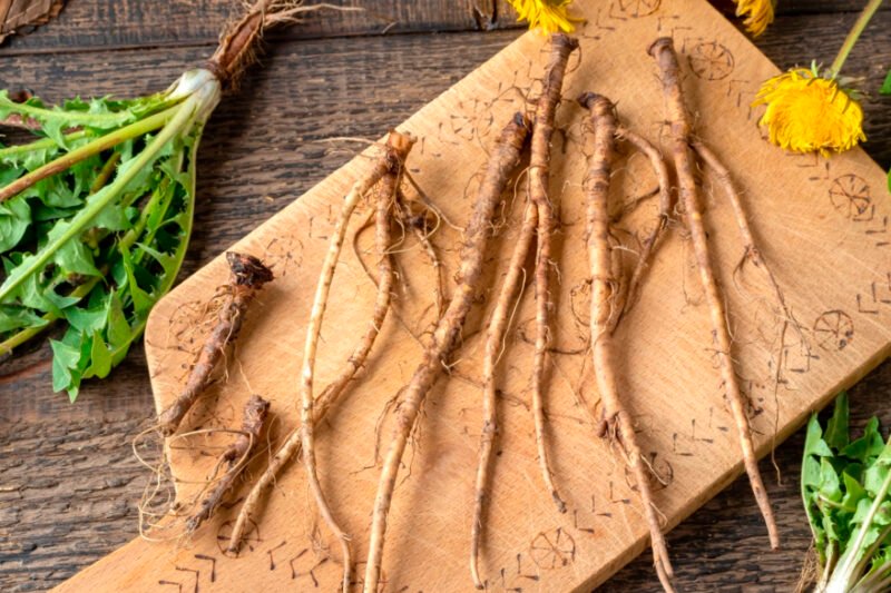 Kiaulpienė virtuvėje