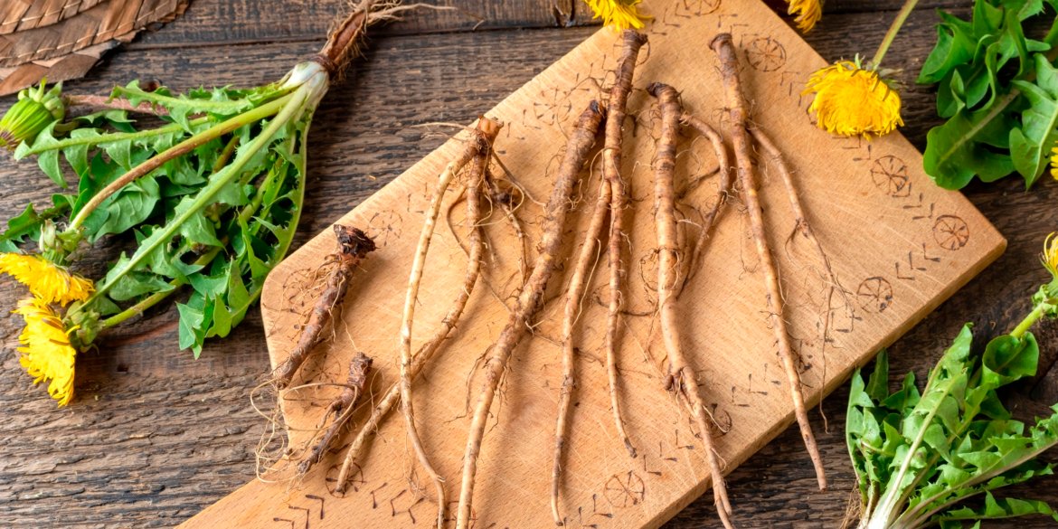 Visi mina ją po kojomis, bet tai gali būti vienas naudingiausių augalų