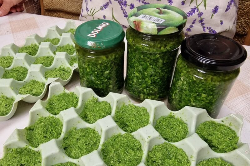 Kaip užšaldyti česnakų žiedynkočius žiemai