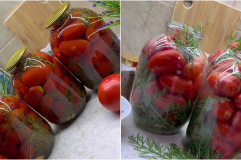 Marinuoti pomidorai žiemai su morkų lapais