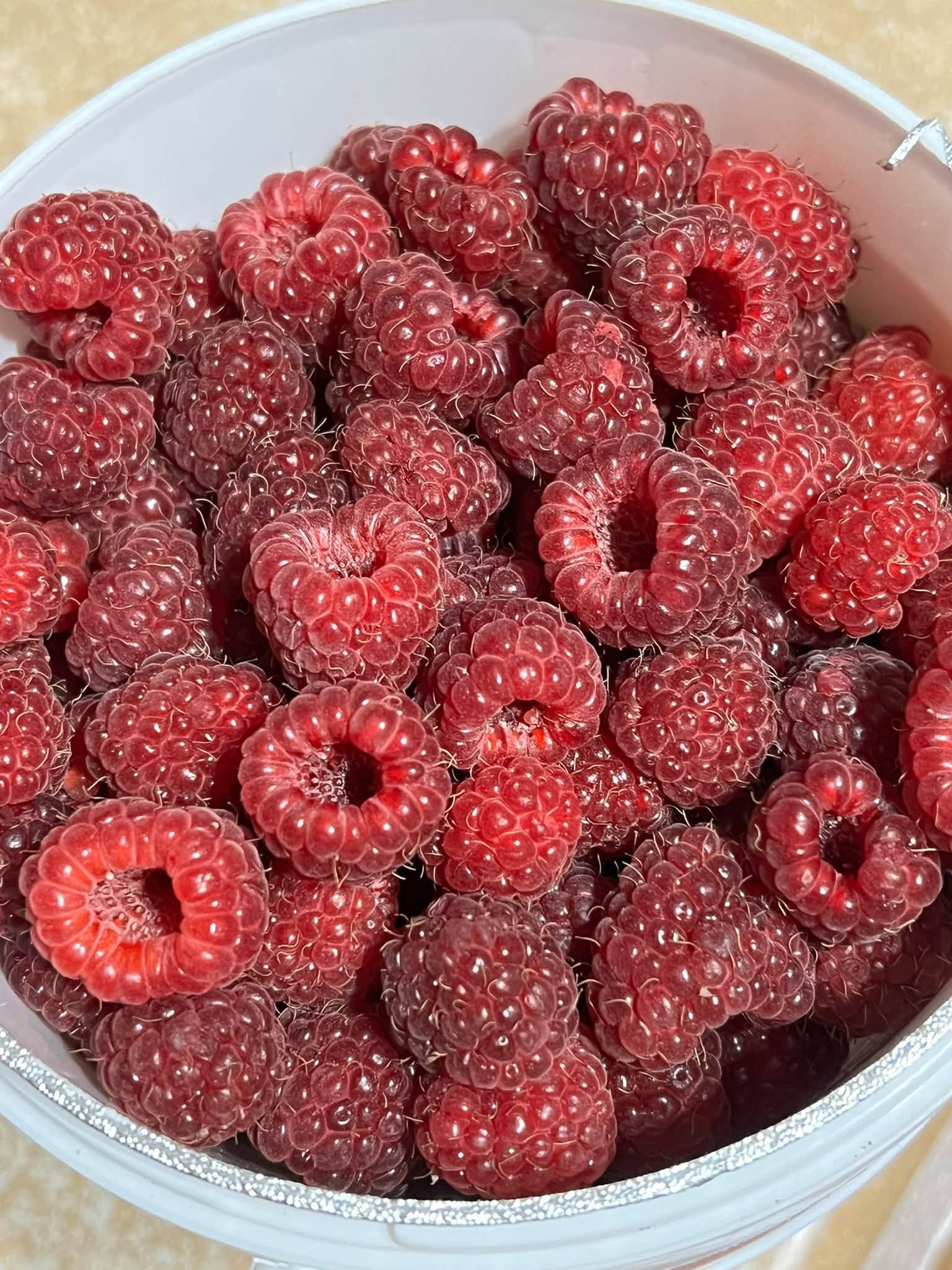 Avietės — 5